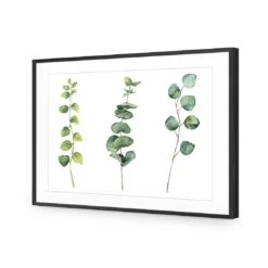 Fragrant Herb Trio -WALL ART DESGIN SALE fragrant herb trio canvas stretched canvas 45x30cm 582955