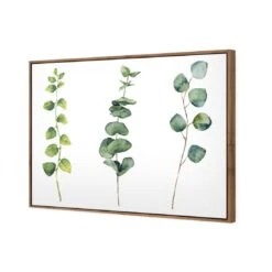 Fragrant Herb Trio -WALL ART DESGIN SALE fragrant herb trio canvas stretched canvas 45x30cm 640012