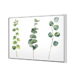 Fragrant Herb Trio -WALL ART DESGIN SALE fragrant herb trio canvas stretched canvas 45x30cm 642909