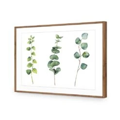 Fragrant Herb Trio -WALL ART DESGIN SALE fragrant herb trio canvas stretched canvas 45x30cm 782290