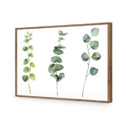 Fragrant Herb Trio -WALL ART DESGIN SALE fragrant herb trio canvas stretched canvas 45x30cm 875147