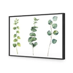 Fragrant Herb Trio -WALL ART DESGIN SALE fragrant herb trio canvas stretched canvas 45x30cm 878911