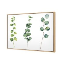 Fragrant Herb Trio -WALL ART DESGIN SALE fragrant herb trio canvas stretched canvas 45x30cm 963988