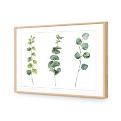 Fragrant Herb Trio -WALL ART DESGIN SALE fragrant herb trio canvas stretched canvas 45x30cm 992315