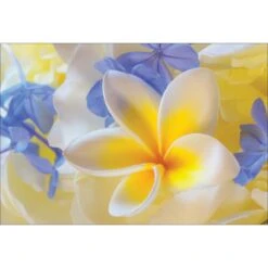 Frangipani And Cornflower