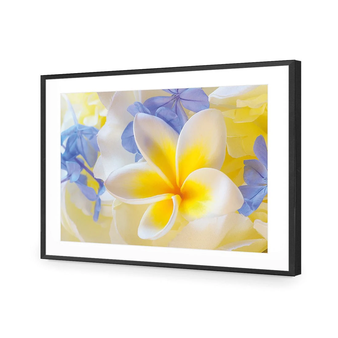 Frangipani and Cornflower Frangipani And Cornflower -WALL ART DESGIN SALE frangipani and cornflower canvas stretched canvas 45x30cm 298320