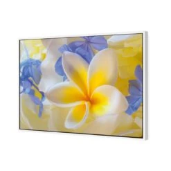 Frangipani And Cornflower 5 Frangipani And Cornflower -WALL ART DESGIN SALE frangipani and cornflower canvas stretched canvas 45x30cm 315860