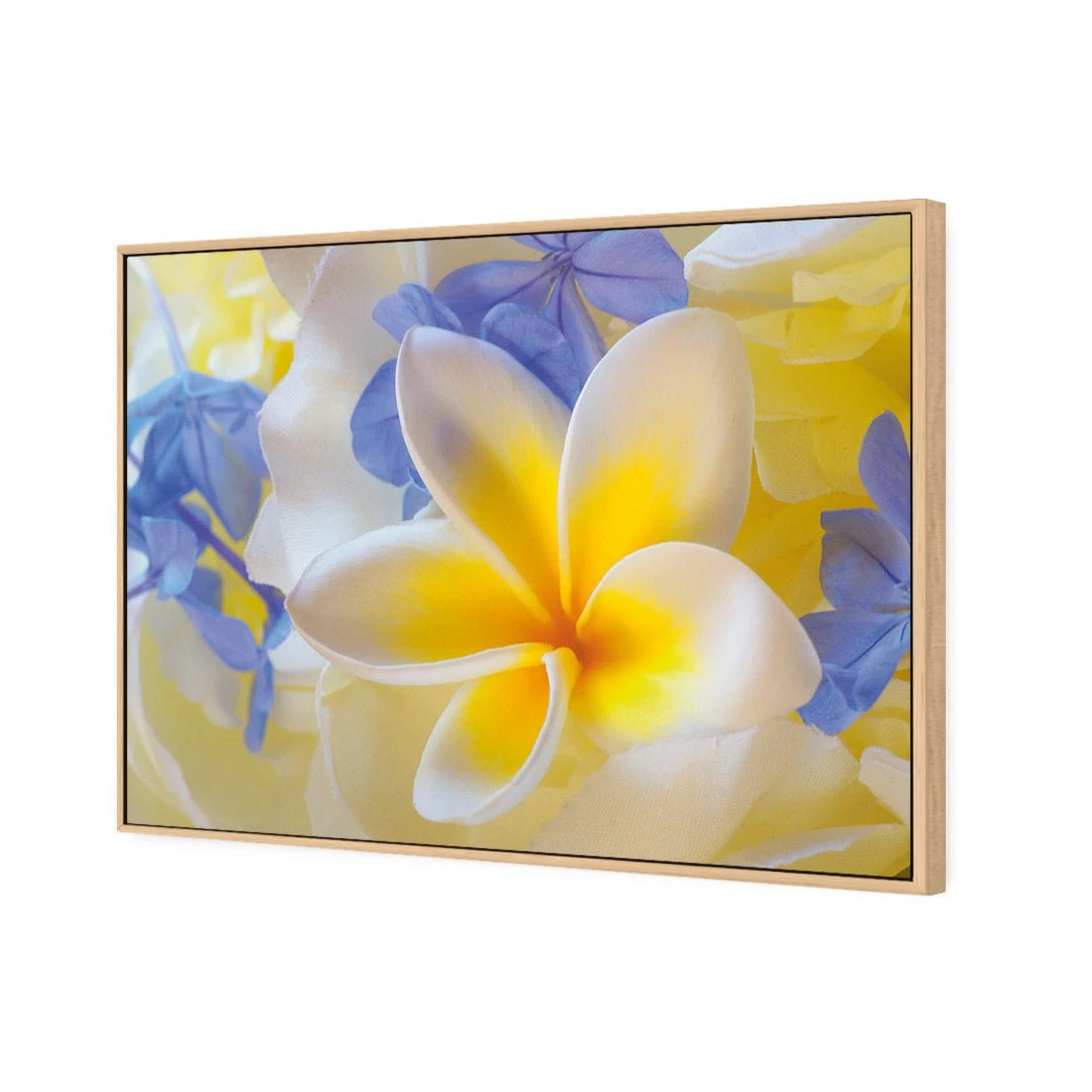Frangipani and Cornflower Frangipani And Cornflower -WALL ART DESGIN SALE frangipani and cornflower canvas stretched canvas 45x30cm 397912