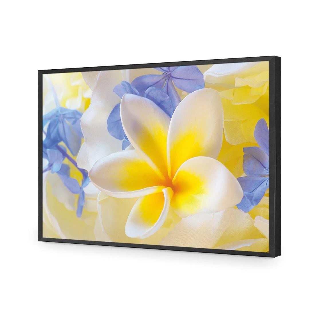 Frangipani and Cornflower Frangipani And Cornflower -WALL ART DESGIN SALE frangipani and cornflower canvas stretched canvas 45x30cm 571522