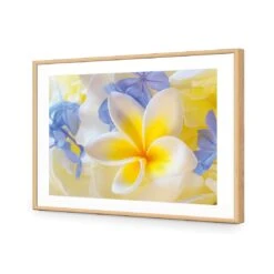Frangipani And Cornflower 12 Frangipani And Cornflower -WALL ART DESGIN SALE frangipani and cornflower canvas stretched canvas 45x30cm 603388