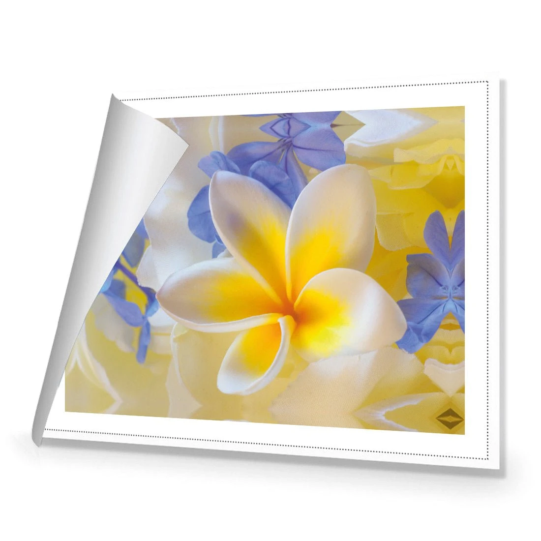 Frangipani and Cornflower Frangipani And Cornflower -WALL ART DESGIN SALE frangipani and cornflower canvas stretched canvas 45x30cm 731665