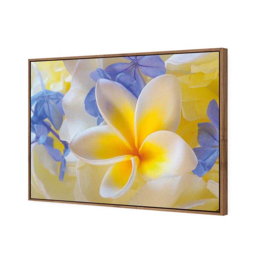 Frangipani and Cornflower Frangipani And Cornflower -WALL ART DESGIN SALE frangipani and cornflower canvas stretched canvas 45x30cm 811497