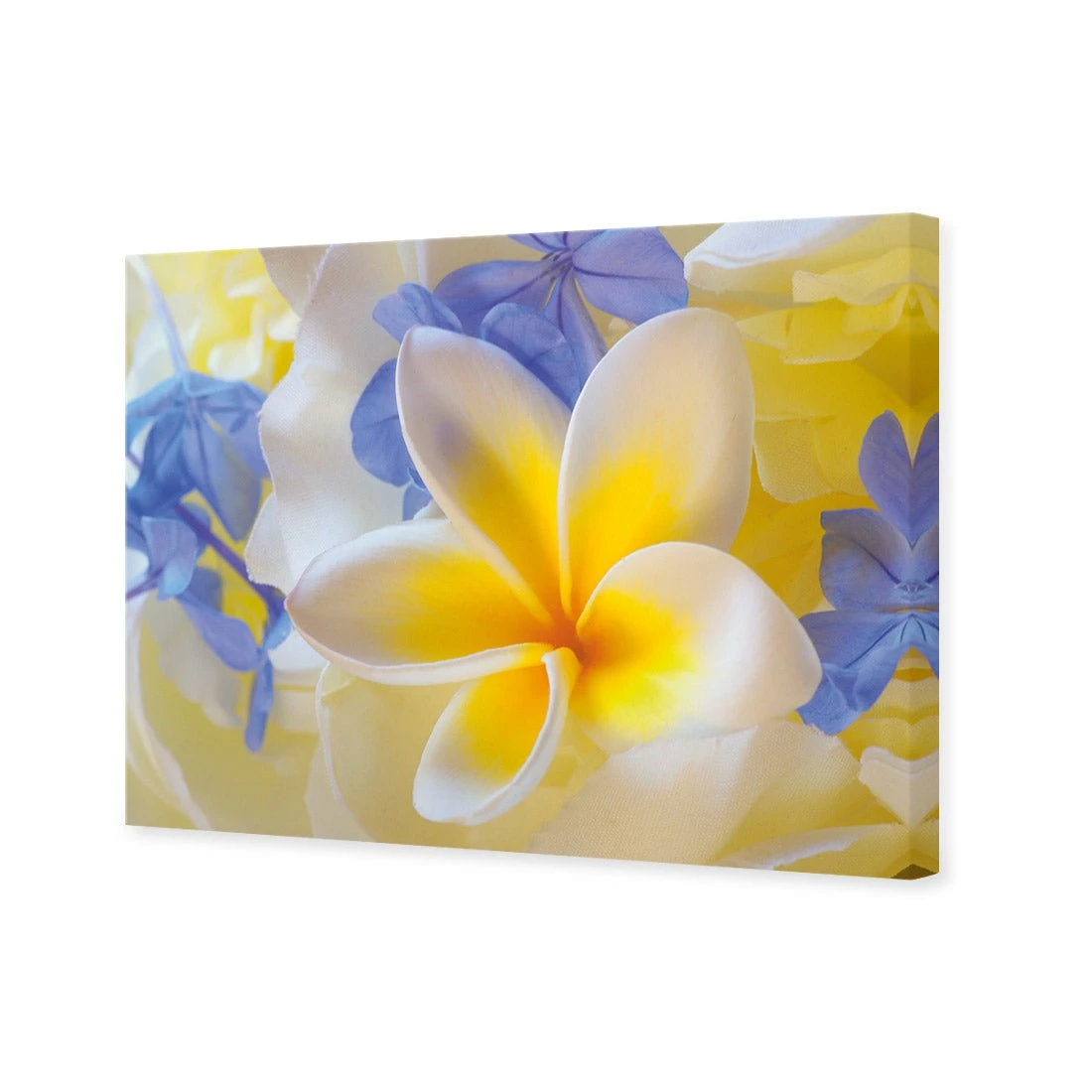 Frangipani and Cornflower Frangipani And Cornflower -WALL ART DESGIN SALE frangipani and cornflower canvas stretched canvas 45x30cm 884689