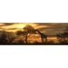 Giraffe At Sunset (long) -WALL ART DESGIN SALE giraffe at sunset long canvas stretched canvas 60x20cm 145500