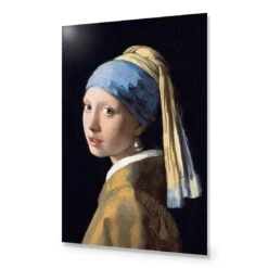 Girl With Pearl Earring By Vermeer -WALL ART DESGIN SALE girl with pearl earring by vermeer acrylic glass no border no frame 45x30cm 787910
