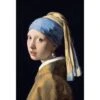 Girl With Pearl Earring By Vermeer -WALL ART DESGIN SALE girl with pearl earring by vermeer canvas stretched canvas 45x30cm 998201