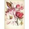 Gorgeous Magnolia Illustration Canvas Art -WALL ART DESGIN SALE gorgeous magnolia illustration canvas art 45x30cm no frame 732377