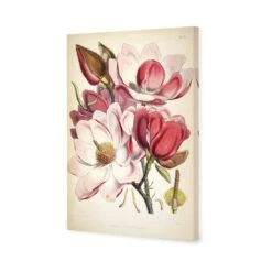 Gorgeous Magnolia Illustration Canvas Art -WALL ART DESGIN SALE gorgeous magnolia illustration canvas art 45x30cm no frame 872644