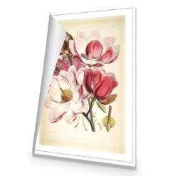 Gorgeous Magnolia Illustration Canvas Art -WALL ART DESGIN SALE gorgeous magnolia illustration canvas art 45x30cm rolled canvas 334899