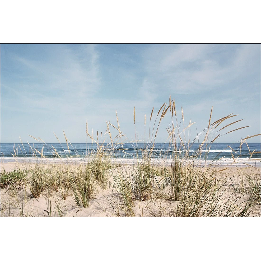 Grass and Dunes Perfect Pair Grass And Dunes Perfect Pair -WALL ART DESGIN SALE grass and dunes perfect pair canvas stretched canvas 45x30cm 955202