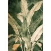 Green Foliage I 1 Green Foliage I -WALL ART DESGIN SALE green foliage i canvas stretched canvas 45x30cm 928660