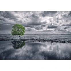 Green Tree Of Life II