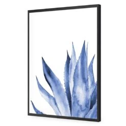 Hampton Flora 2 15 Hampton Flora 2 -WALL ART DESGIN SALE hampton flora 2 acrylic glass no border black frame 45x30cm 462518