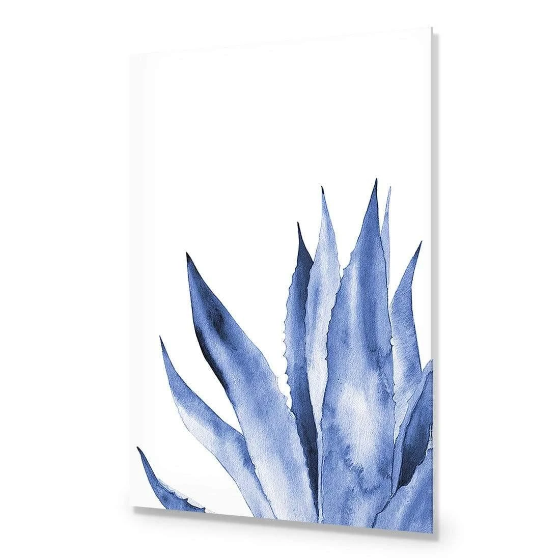 Hampton Flora 2 Hampton Flora 2 -WALL ART DESGIN SALE hampton flora 2 acrylic glass no border no frame 45x30cm 149546
