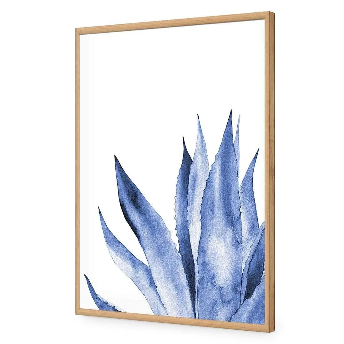 Hampton Flora 2 Hampton Flora 2 -WALL ART DESGIN SALE hampton flora 2 acrylic glass no border oak frame 45x30cm 351300