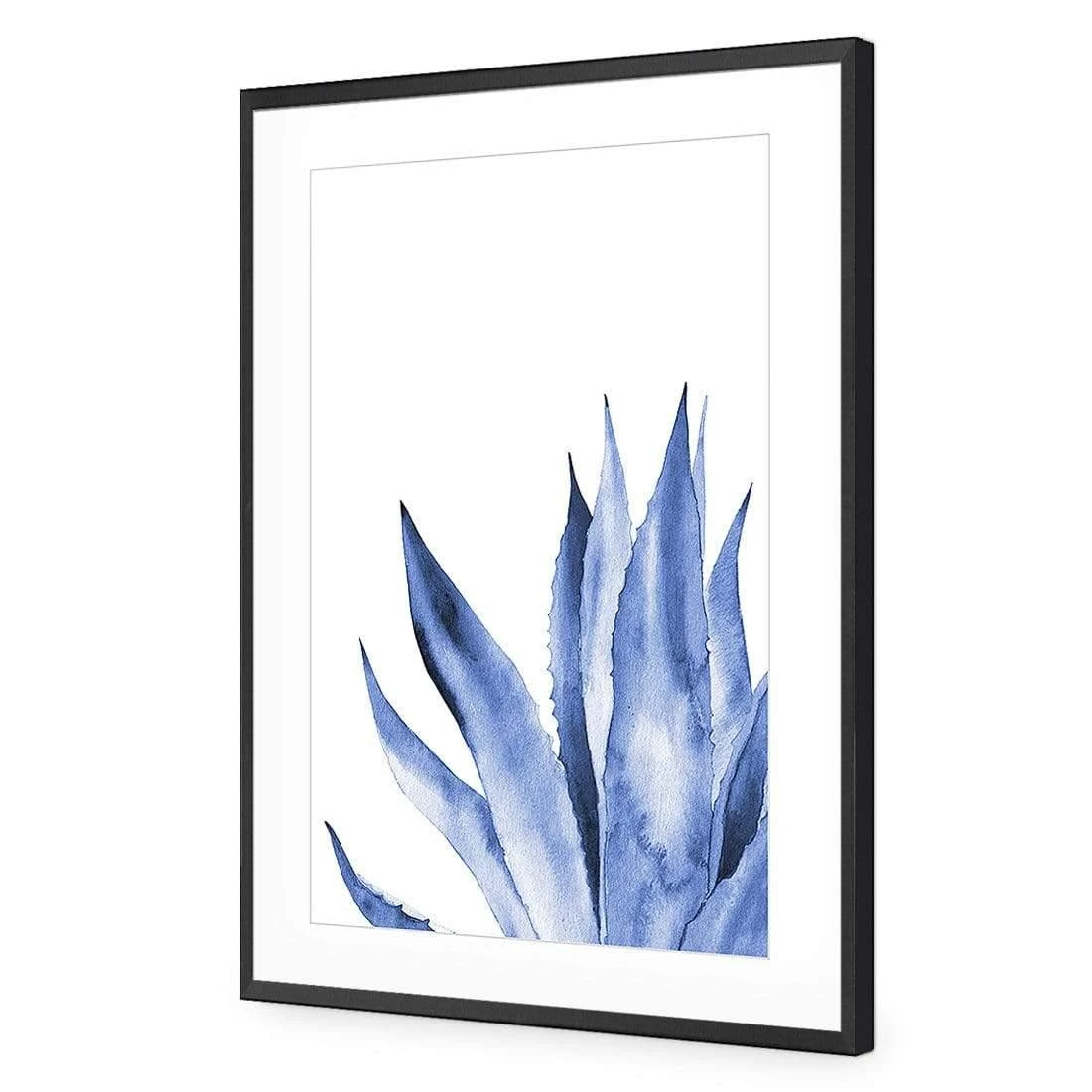 Hampton Flora 2 Hampton Flora 2 -WALL ART DESGIN SALE hampton flora 2 acrylic glass with border black frame 45x30cm 618507