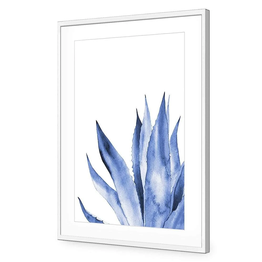 Hampton Flora 2 Hampton Flora 2 -WALL ART DESGIN SALE hampton flora 2 acrylic glass with border white frame 45x30cm 702002
