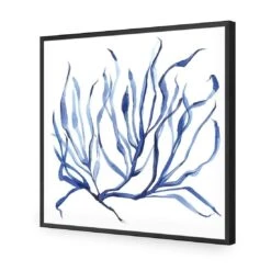 Hampton Flora 3 -WALL ART DESGIN SALE hampton flora 3 acrylic glass no border black frame 37x37cm 943186