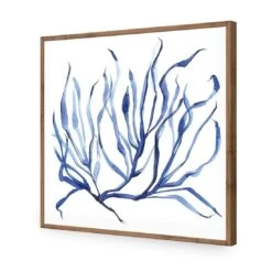 Hampton Flora 3 -WALL ART DESGIN SALE hampton flora 3 acrylic glass no border natural frame 37x37cm 551341