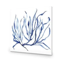Hampton Flora 3 -WALL ART DESGIN SALE hampton flora 3 acrylic glass no border no frame 37x37cm 661885