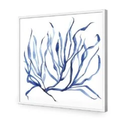 Hampton Flora 3 -WALL ART DESGIN SALE hampton flora 3 acrylic glass no border white frame 37x37cm 158974