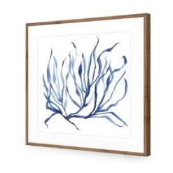 Hampton Flora 3 -WALL ART DESGIN SALE hampton flora 3 acrylic glass with border natural frame 37x37cm 110348