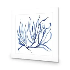Hampton Flora 3 -WALL ART DESGIN SALE hampton flora 3 acrylic glass with border no frame 37x37cm 391316
