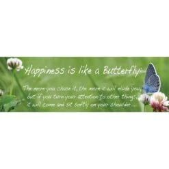 Happiness Is Like A Butterfly (long)