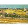 Harvest By Van Gogh Canvas Art