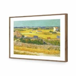 Harvest - Van Gogh Acrylic Print Art -WALL ART DESGIN SALE harvest van gogh acrylic print art with border natural frame 45x30cm 874714