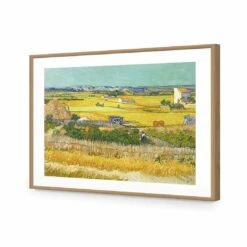 Harvest - Van Gogh Acrylic Print Art -WALL ART DESGIN SALE harvest van gogh acrylic print art with border oak frame 45x30cm 946933