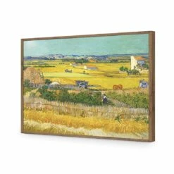 Harvest - Van Gogh Acrylic Print Art -WALL ART DESGIN SALE harvest van gogh acrylic print art without border natural frame 45x30cm 118976