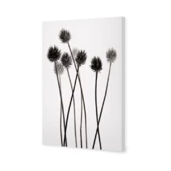 Haunting White, Inverted -WALL ART DESGIN SALE haunting white inverted canvas stretched canvas 45x30cm 891740