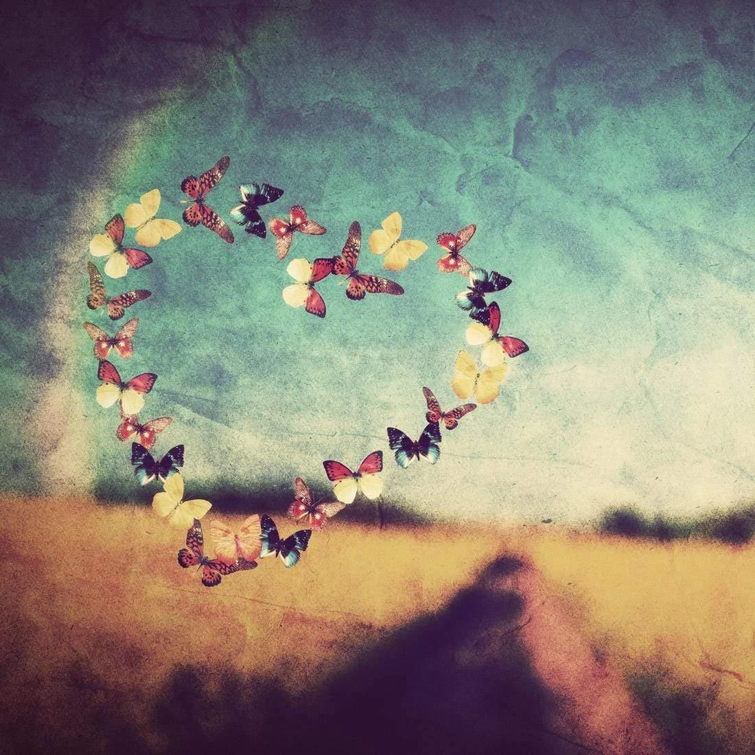 Heart Of Butterflies (Square) Heart Of Butterflies (Square) -WALL ART DESGIN SALE heart of butterflies square canvas stretched canvas 37x37cm 382859