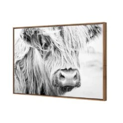 Henrietta The Highland Cow Canvas Art 6 Henrietta The Highland Cow Canvas Art -WALL ART DESGIN SALE henrietta the highland cow canvas art 45x30cm natural frame 688862