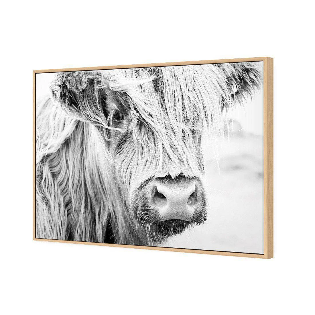 Henrietta the Highland Cow Canvas Art Henrietta The Highland Cow Canvas Art -WALL ART DESGIN SALE henrietta the highland cow canvas art 45x30cm oak frame 572547