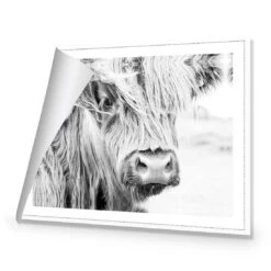 Henrietta The Highland Cow Canvas Art 8 Henrietta The Highland Cow Canvas Art -WALL ART DESGIN SALE henrietta the highland cow canvas art 45x30cm rolled canvas 225980