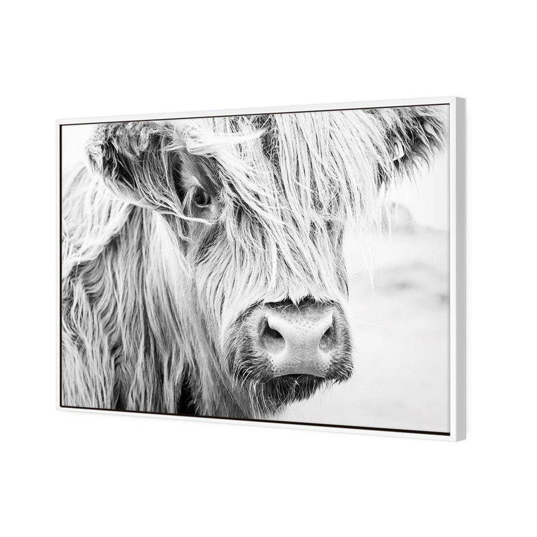 Henrietta the Highland Cow Canvas Art Henrietta The Highland Cow Canvas Art -WALL ART DESGIN SALE henrietta the highland cow canvas art 45x30cm white frame 621633