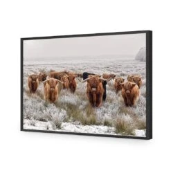 Herd Of Highlanders -WALL ART DESGIN SALE herd of highlanders acrylic glass no border black frame 45x30cm 932523