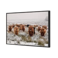Herd Of Highlanders -WALL ART DESGIN SALE herd of highlanders canvas black frame 45x30cm 609918